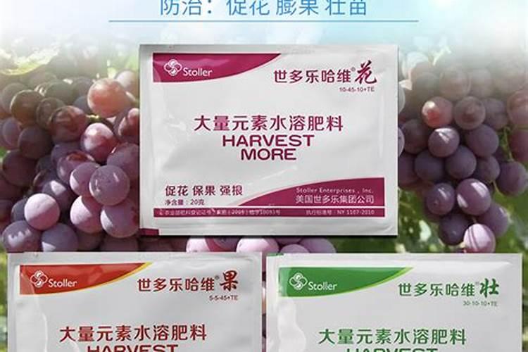 刚种植的李子树应该施些什么肥？