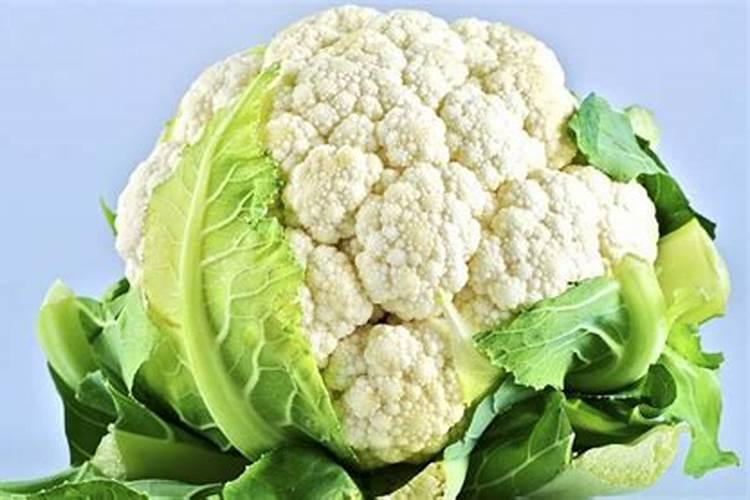 花菜施什么肥最好