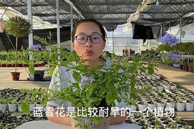 化肥晒了3天还管用吗