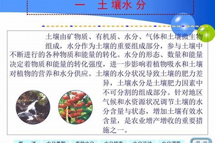氮肥对果树的作用
