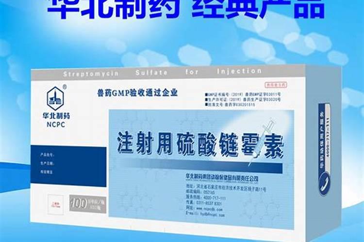 石家庄有什么工厂