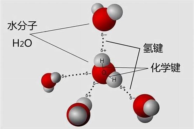氨基酸水溶肥跟腐殖酸水溶肥区别在哪里