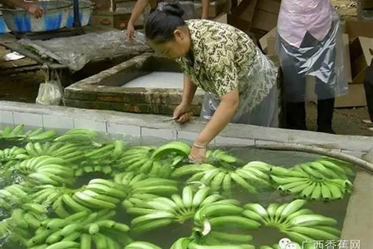 香蕉用什么肥料好