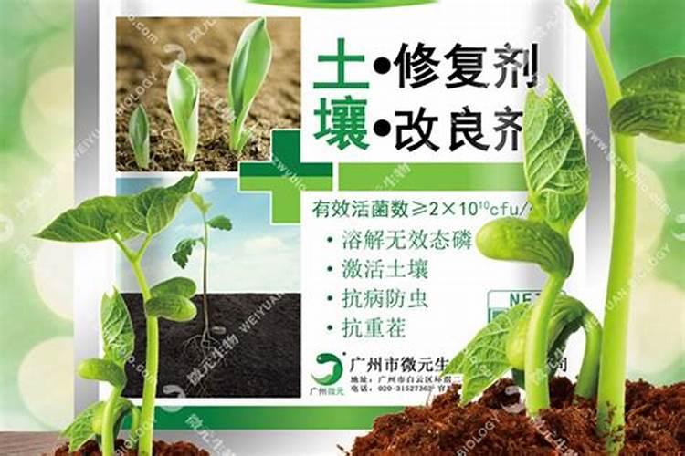 为什么说腐殖酸也能修复土壤