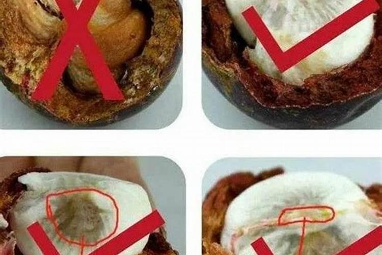 腐肉可以当植物肥料吗