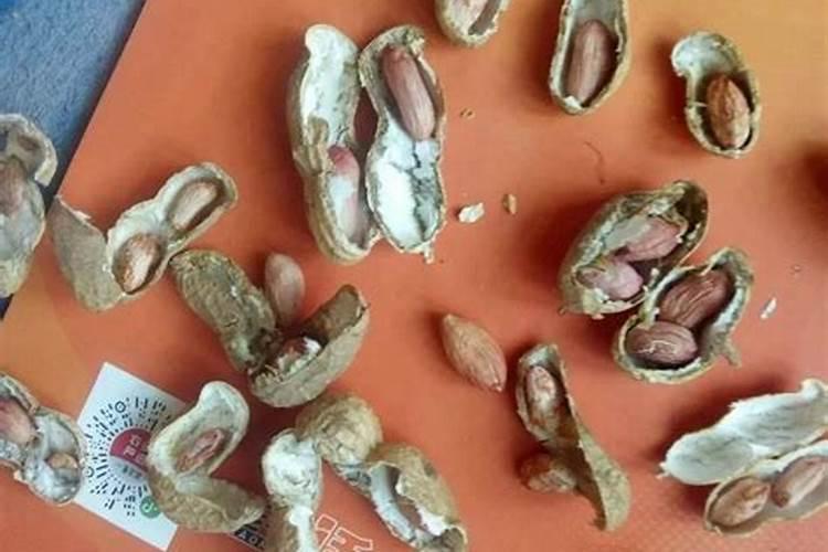 钙镁硫中微量元素对花生有什么作用？