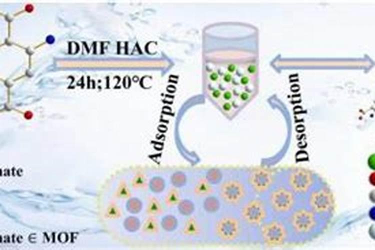 蝴蝶兰应该施什么肥,什么季节施肥好？
