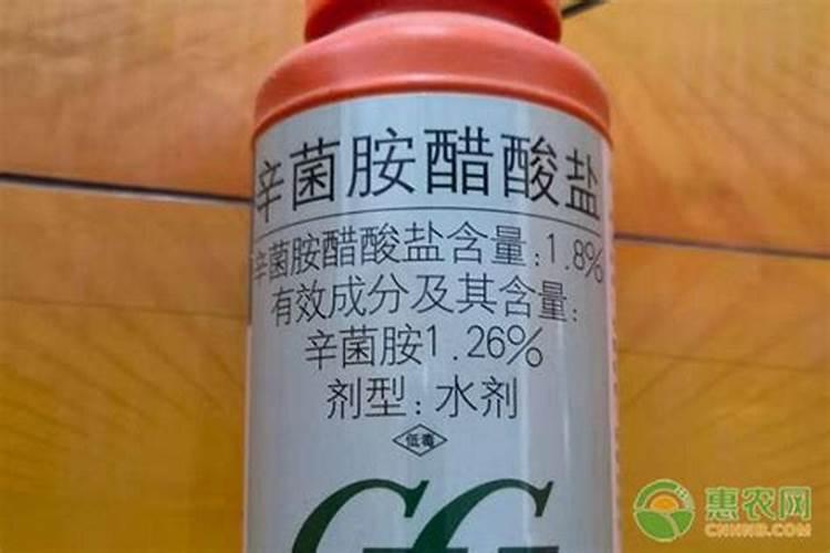 西葫芦银叶病应该怎么治疗,用什么有效