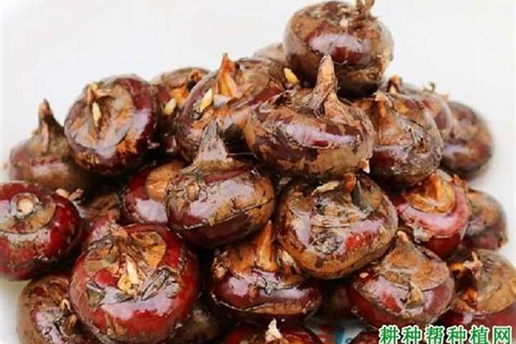 马蹄田可以用什么肥料