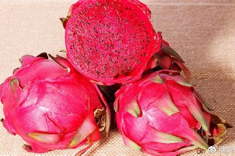 盆栽火龙果用什么肥料施肥