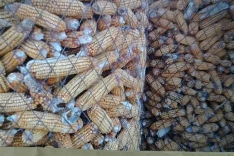 红四方玉米专用复合肥多少钱一吨？