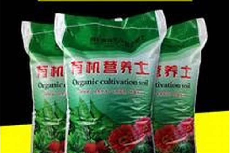 刚移植的树苗喷什么提高成活