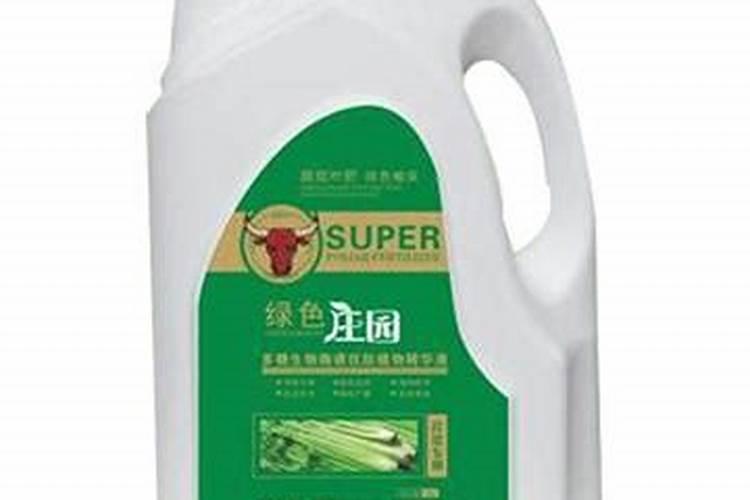 大棚芹菜怎样增产？芹菜种植管理如何做病害少产量高