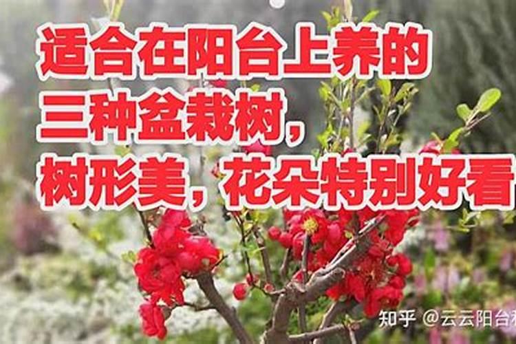 硼肥多少钱一千克