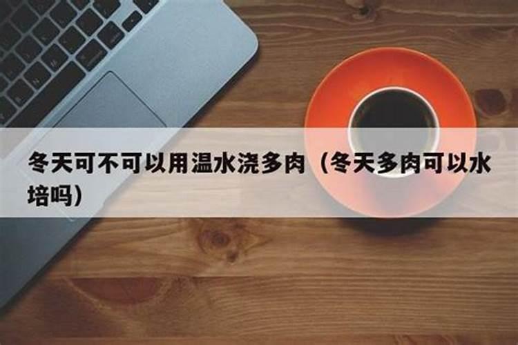 肉肉花怎么养 肉肉花养殖条件