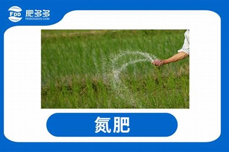 氮肥过多对水稻有什么危害 后期施的氮肥过多怎么处理
