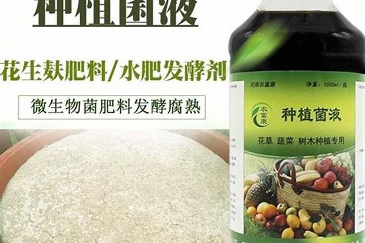油桐施肥方法和注意事项 油桐施肥方法和注意事项有哪些