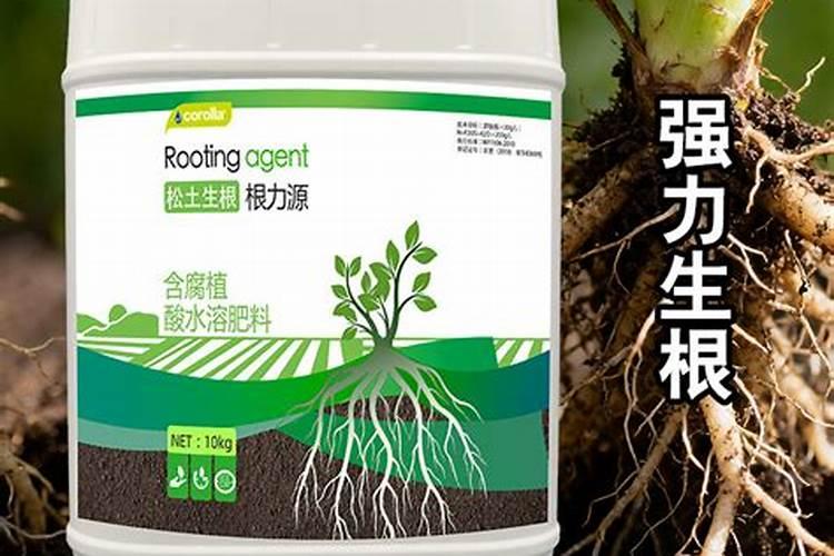 劲驼复合肥生产厂家地址在哪？