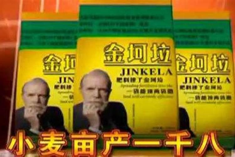 打籽西葫芦怎么种才结的多打籽西葫芦如何种才结的多