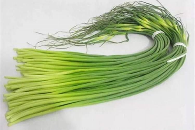 大蒜早出蒜苔的方法