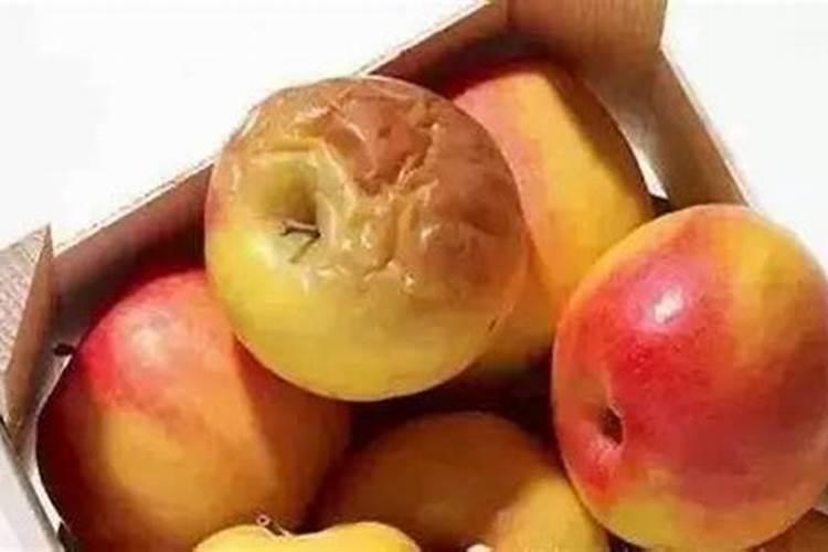 烂桔子可以做肥料吗？