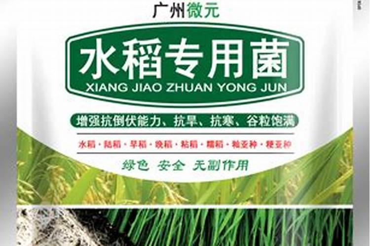 有机肥堆肥发酵菌哪种好