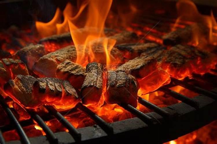烧烤炭灰可以当肥料吗 肥料有哪些种类