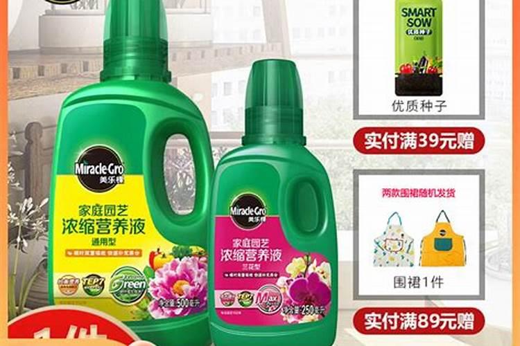 草莓追肥什么肥料？