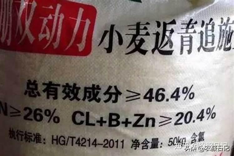 盆花要受露水才能生长良好吗