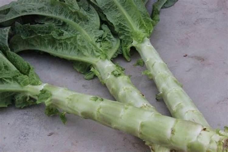 莴笋用什么肥料最好