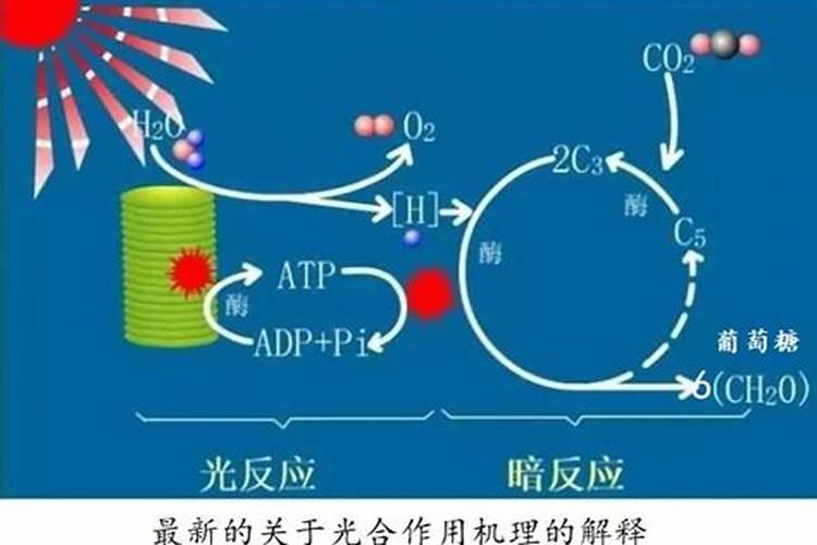根源生物大量元素水溶肥有哪些