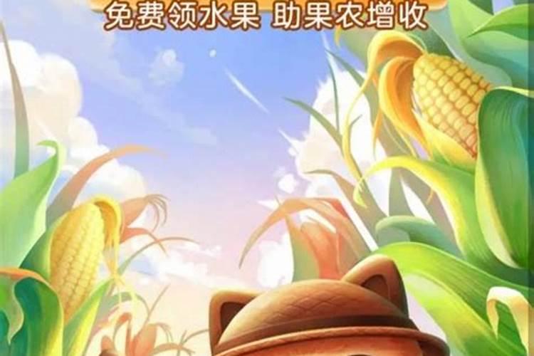 播种玉米时如何施肥芭芭农场