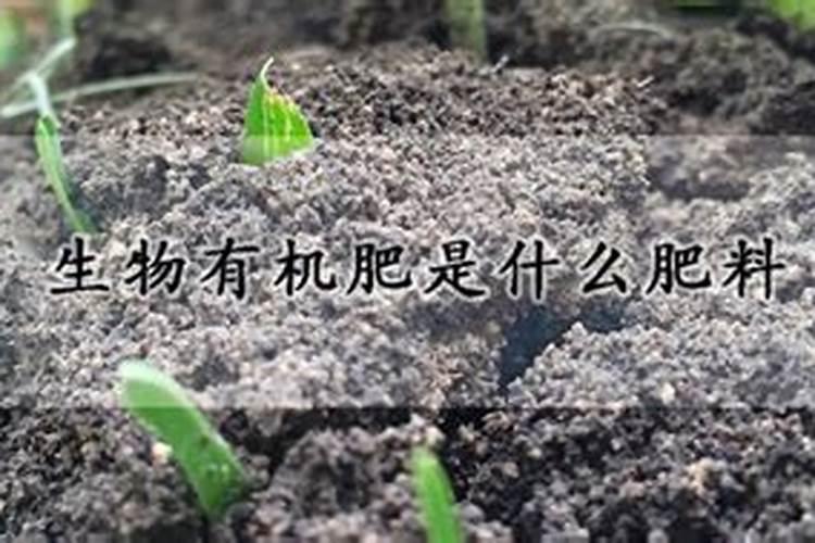 树苗烂根立枯用什么叶面肥好