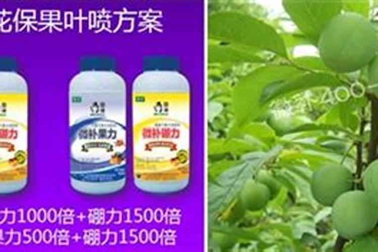 一般在什么时候给果树施肥最好？施肥的正确方式是怎样的？