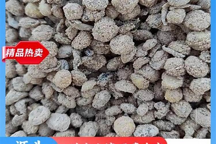花盆里加什么肥料,容易提高植物的生长活性