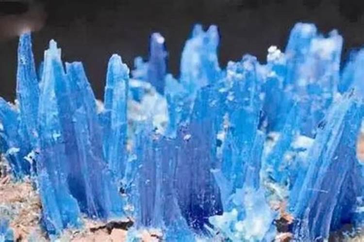 苹果树打兰矾能提前泡石灰水吗