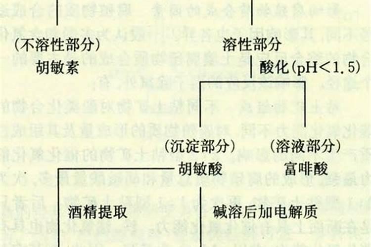 用尿素每天放一点浇花怎么样