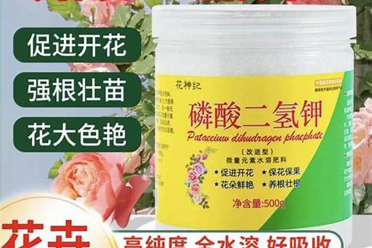 磷酸二氢钾可以浇多肉吗