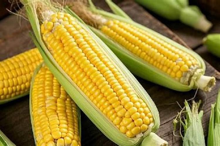 玉米施加钙肥的最佳时间 什么时候使用合适