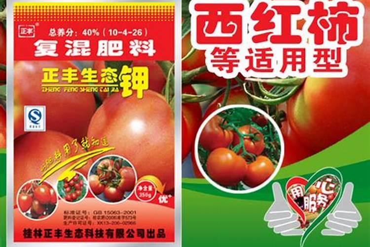番茄怎么施肥才能高产