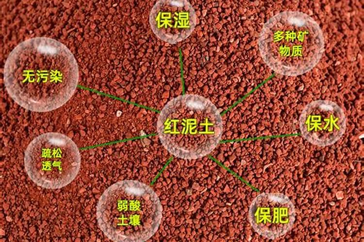 营养土怎样制作成肥料