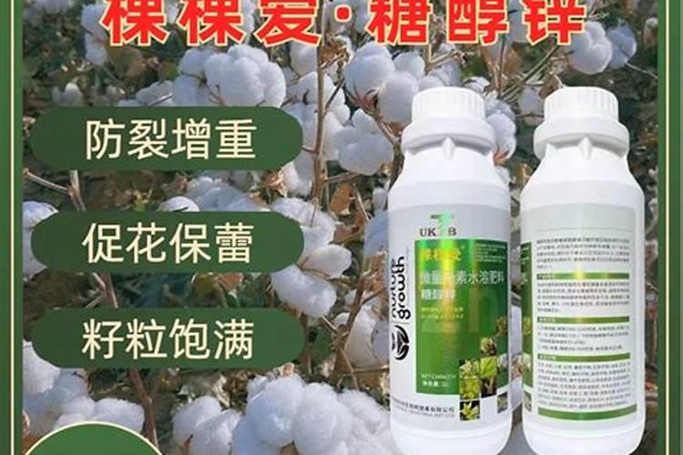 如何给农作物科学施用锌肥
