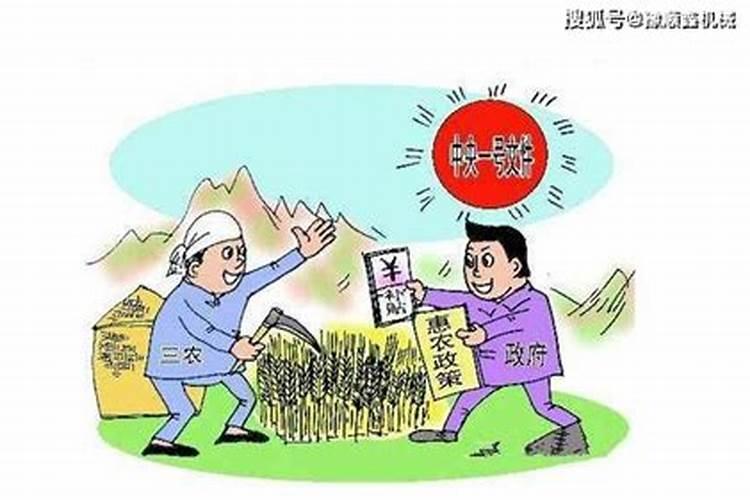 肥料中有机肥、无机肥、还有菌肥都有哪些区别