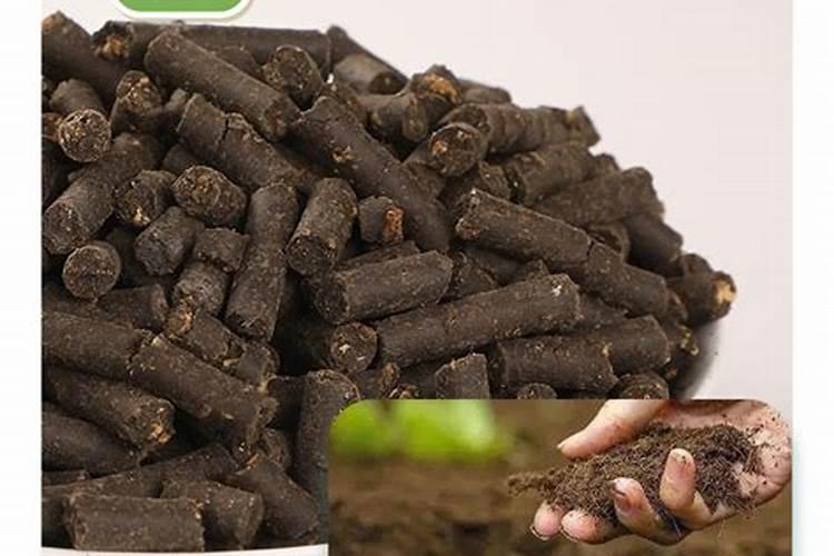 豆粕肥和芝麻饼肥都是饼肥吗