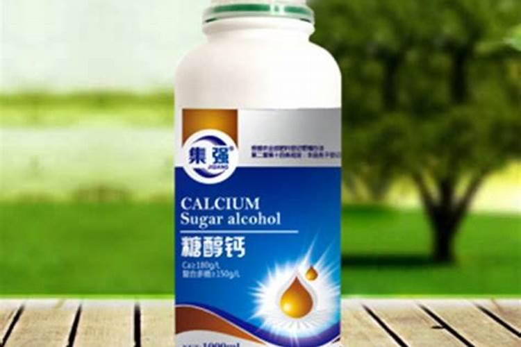 移植树有什么讲究 什么时候移栽树木最好