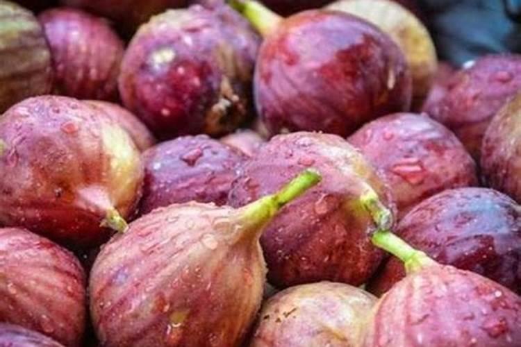 无花果挂果期施什么肥？