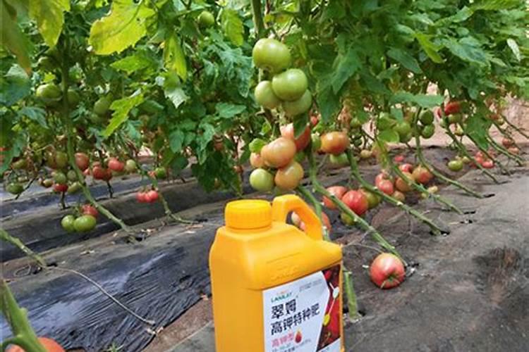 水溶肥高钾型和平衡型的区别