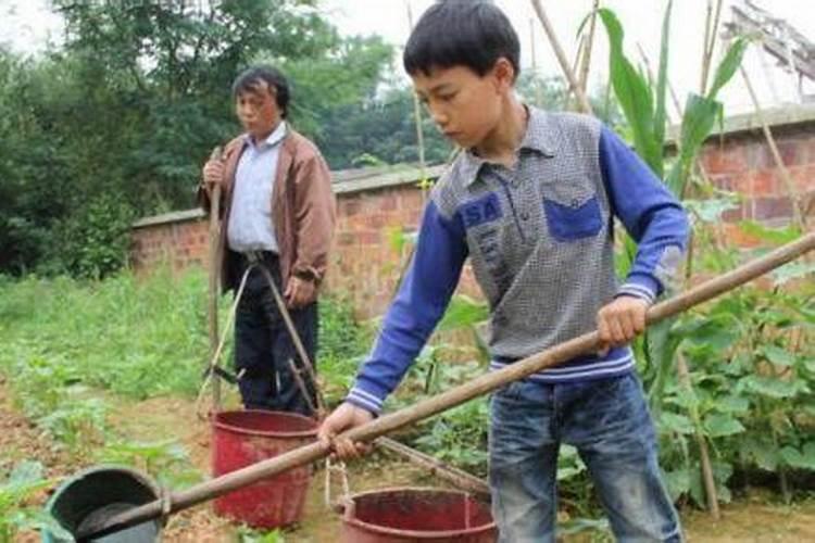 黄瓜什么时候施肥最好 黄瓜最好的施肥时间