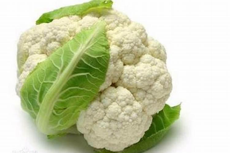 花菜防冻用什么方法 花菜防冻用什么方法最合适
