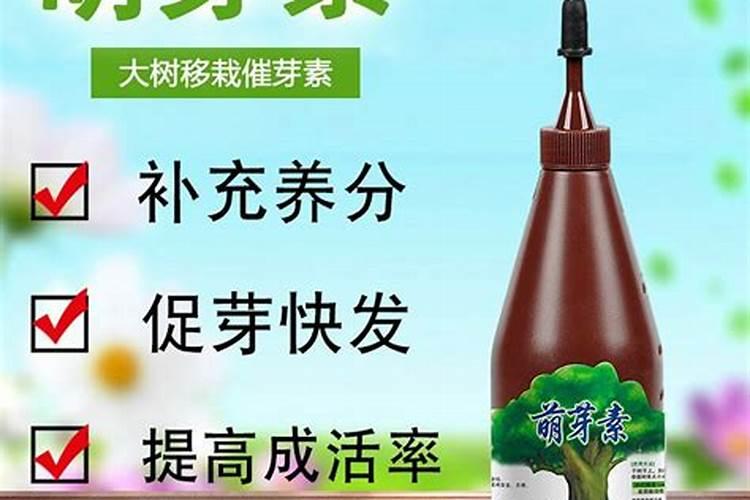 葡萄何时施肥施什么肥